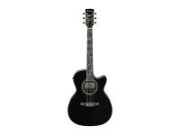 Ibanez AC391RCE-BKH Ibanez AC391RCE-BKH
